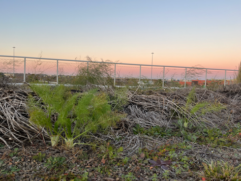 A Welcome Winter Rest
