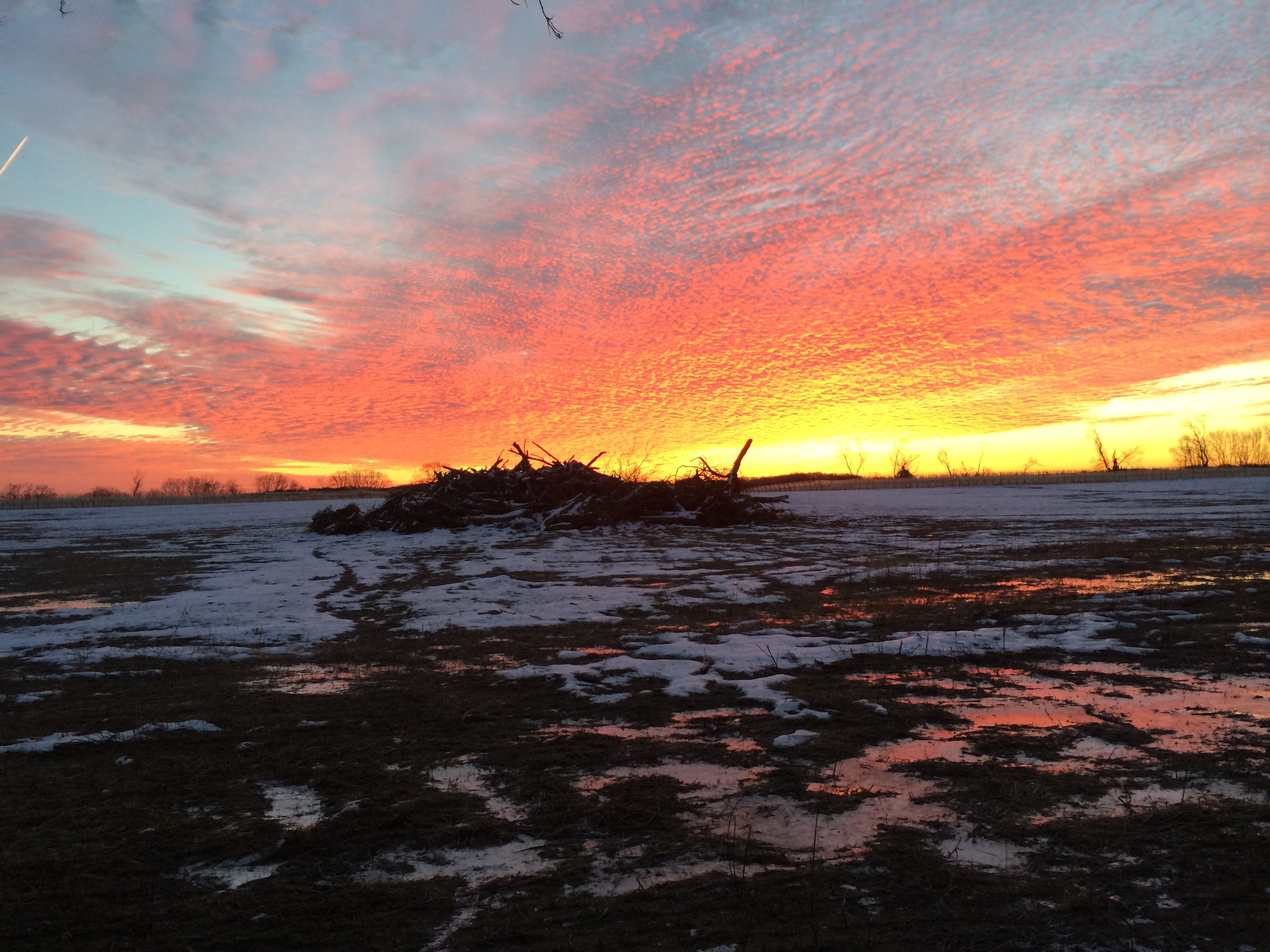Windridge Farm