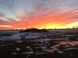 Windridge Farm