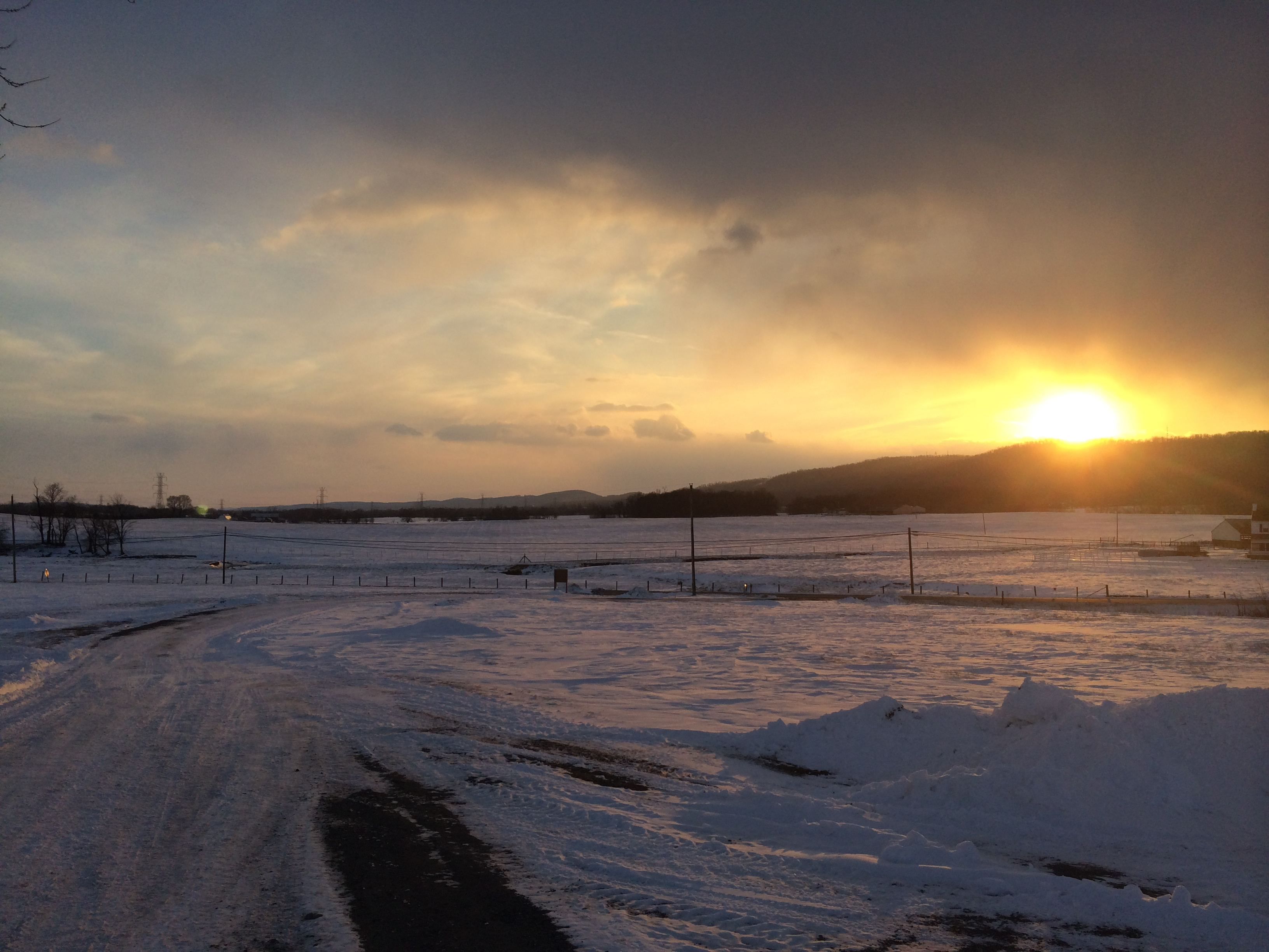 Windridge Farm