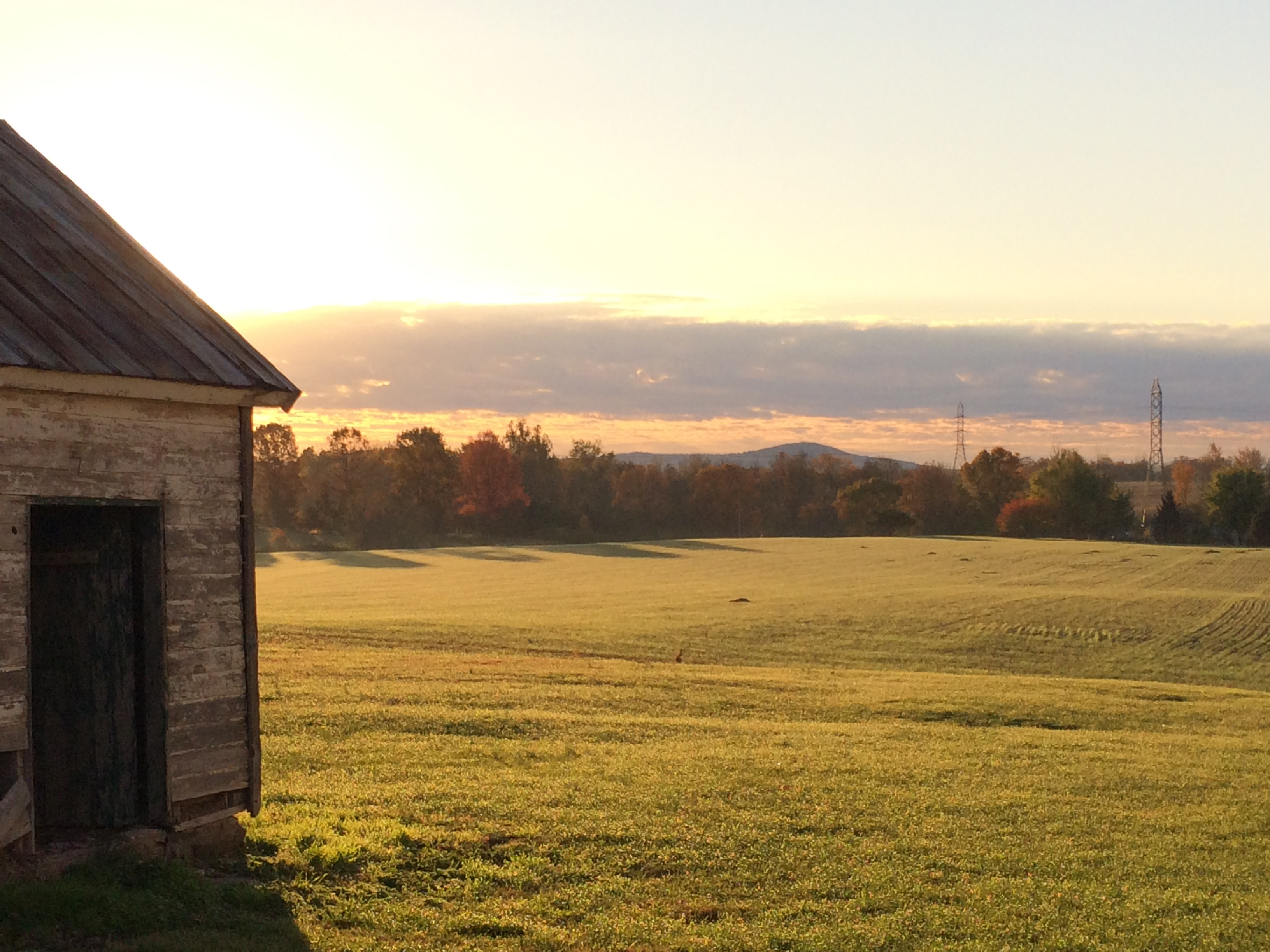 Windridge Farm
