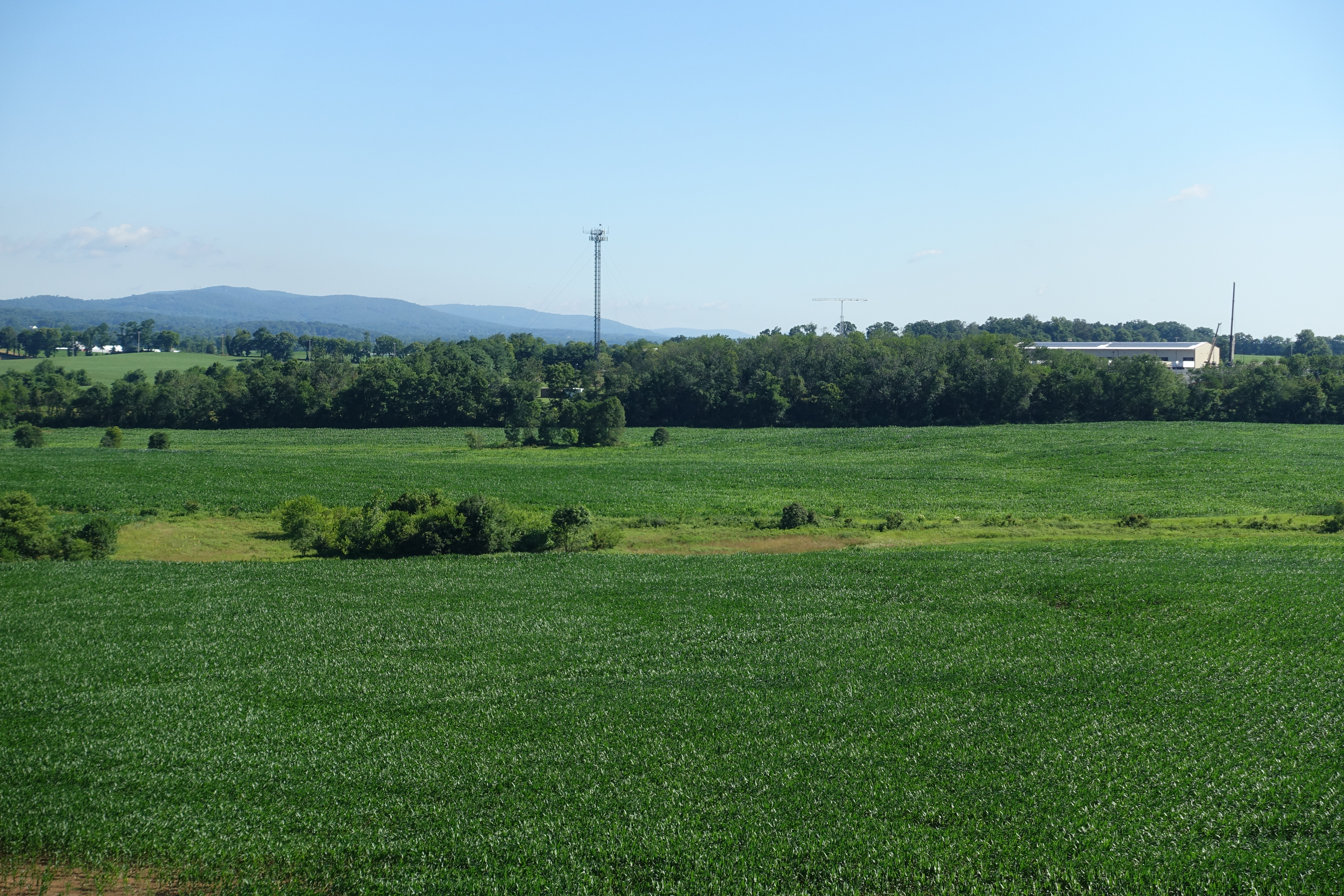 Windridge Farm