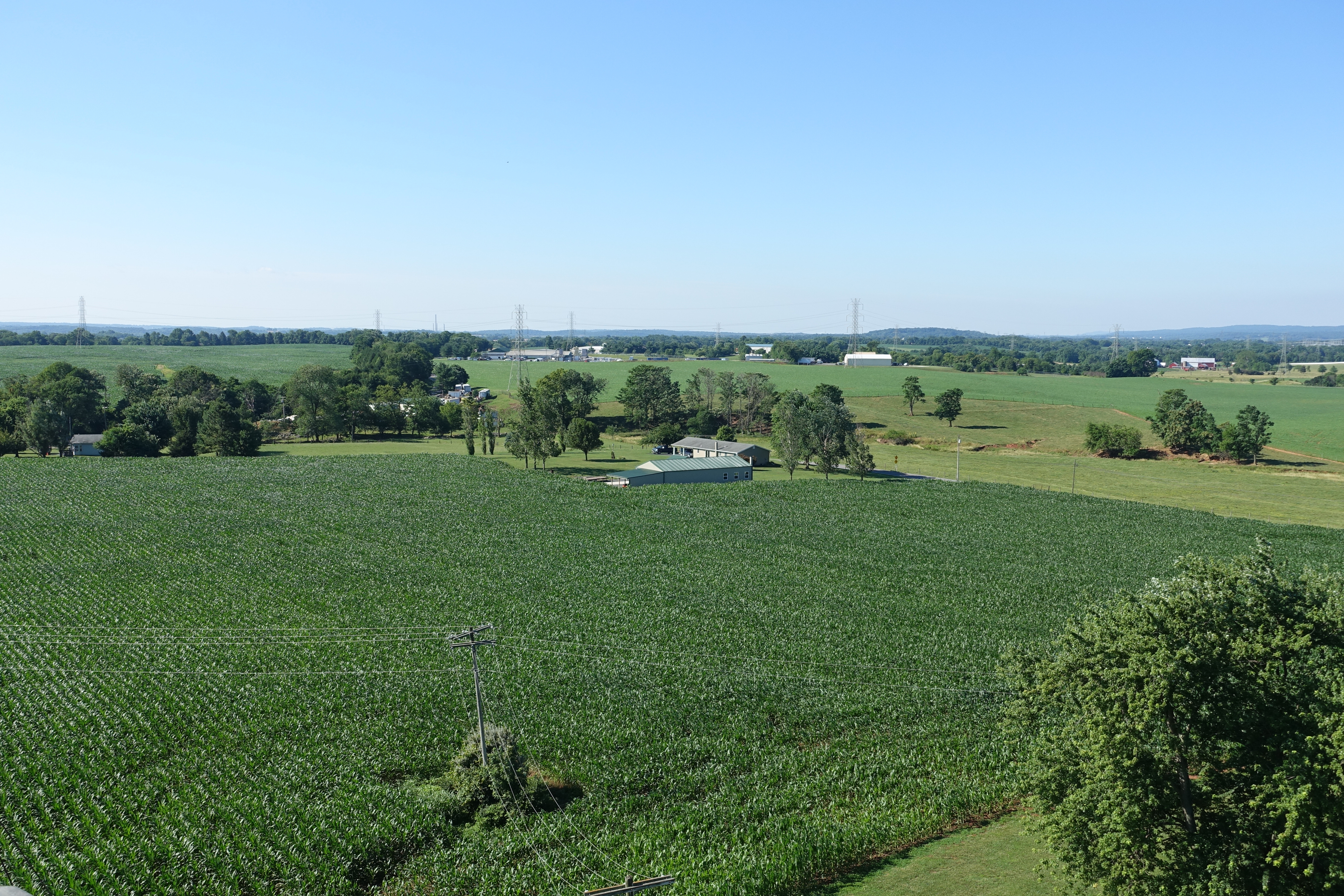 Windridge Farm