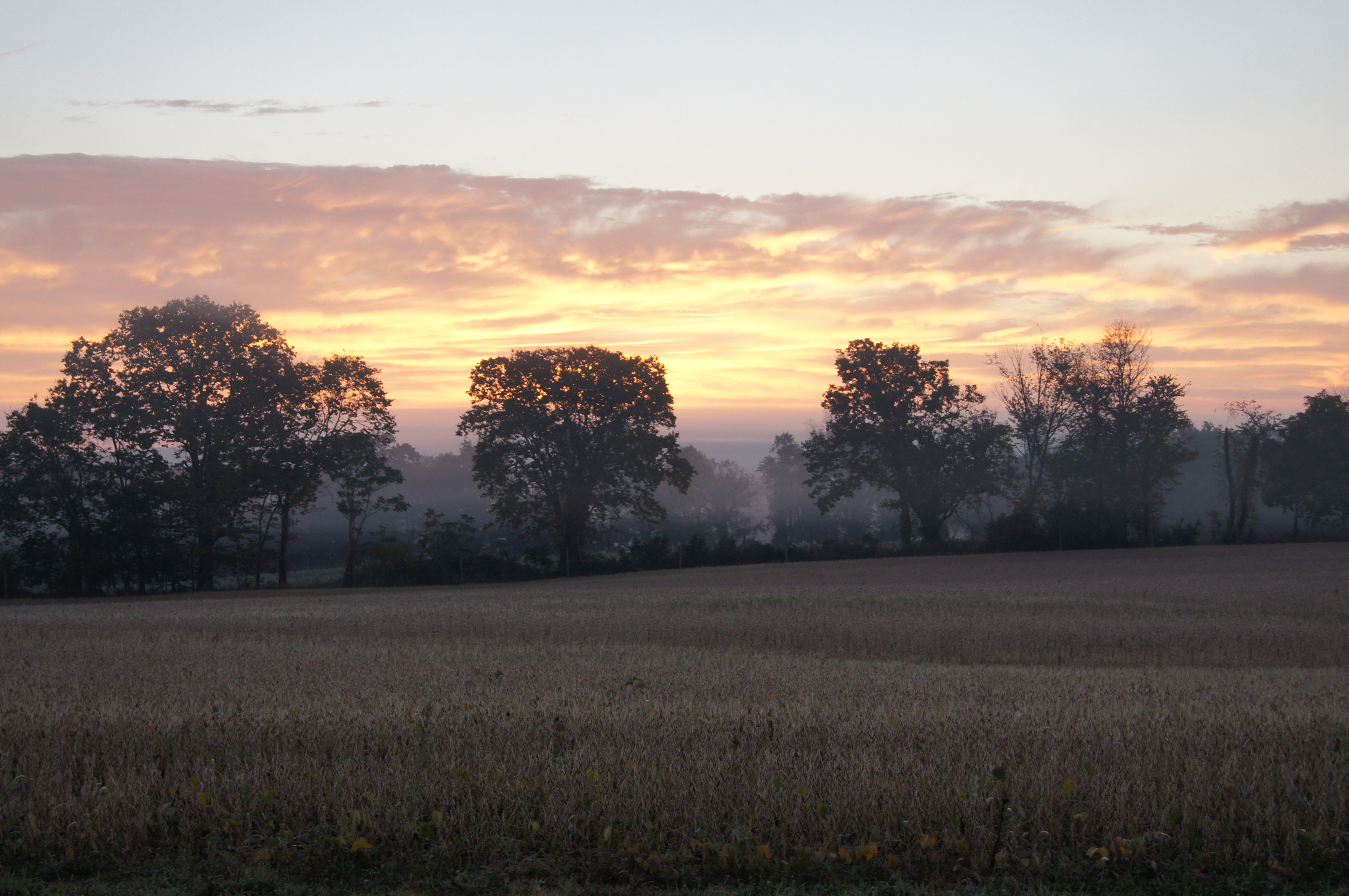Windridge Farm