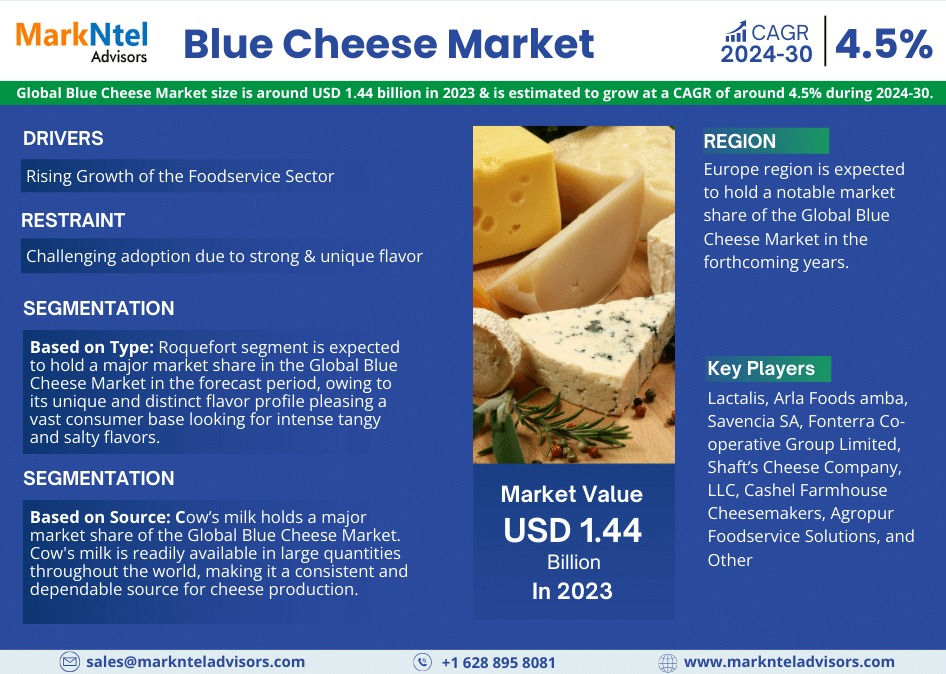 Blue Cheese Market Overview and Key Insights