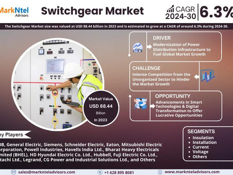Switchgear Industry Report 2024–2030: Growth, Trends & Key Players
