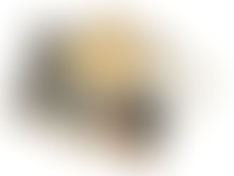 Russia Micronutrient Fertilizer Market Sustainable growth with 2032.