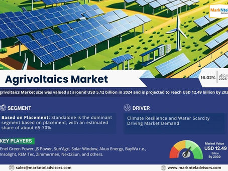 Top Companies in the Agrivoltaics Market 2030