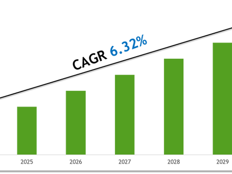 United Arab Emirates (UAE) Gas Meters Market 2030: Size, Growth Drivers & Competitive Landscape