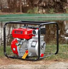 Ghana Domestic Water Pump Market Outlook 2028: Leading Companies & Share Insights