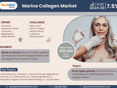 Marine Collagen Market Overview 2024–2030: Share, Size & Future Trends