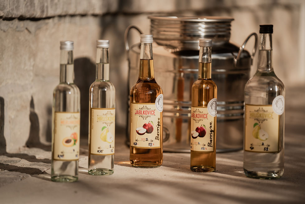 Slavnostní otevření