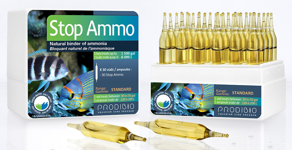 Stop Ammo 30 # 01938
