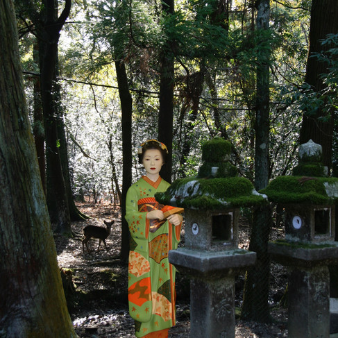 Japan 5