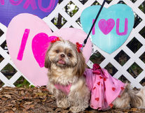 Love in the Nursery... an event to remember