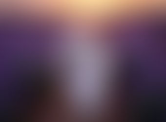 Las 12 plantas más venenosas para las mascotas