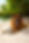 095B34C2-E435-47B3-B6B7-B97EAD5CBA26 2.PNG