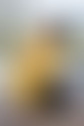 "Descubre la Belleza Capturada por Nuestra Fotógrafa Profesional, Erika Pérez Roa, en Nuestro Evento de Inauguración"
