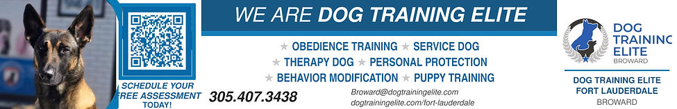 Dog_Training_Elite_Banner_1456x240.jpg