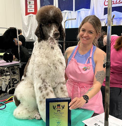 2023_OctPetPro2ndPlacePoodles