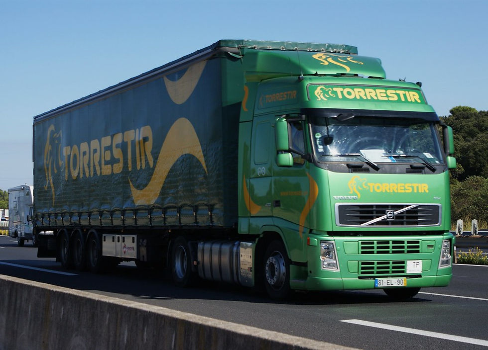 Torrestir abre mais de 60 vagas em Portugal em diversas áreas