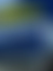 Makro Portugal abre novas vagas de emprego em várias regiões do paÃs