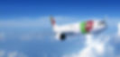 TAP Air Portugal posso te mostrar trabalhar na TAP