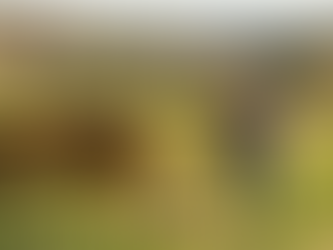 Vaga para não residente em Portugal: trabalho em agricultura e produção animal em Várzea de Abrunhais