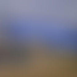 Decathlon aumenta salário de entrada para 1.000 euros em Portugal e abre vagas