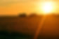 DSC_0016-WEB.jpg