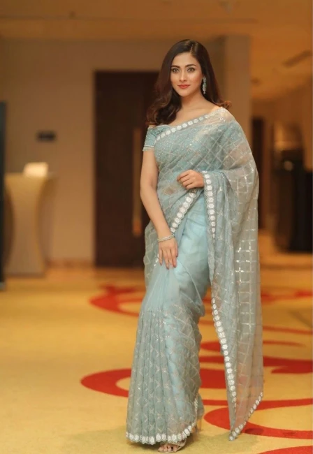 BUY SKY BLUE HEAVY SEQUANCE EMBROIDERED WORK SAREE WITH STONE