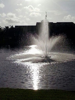 Good evening.jpg.jpg