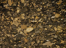 et_marinace-brown.jpg