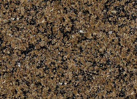 et_tropical-brown.jpg