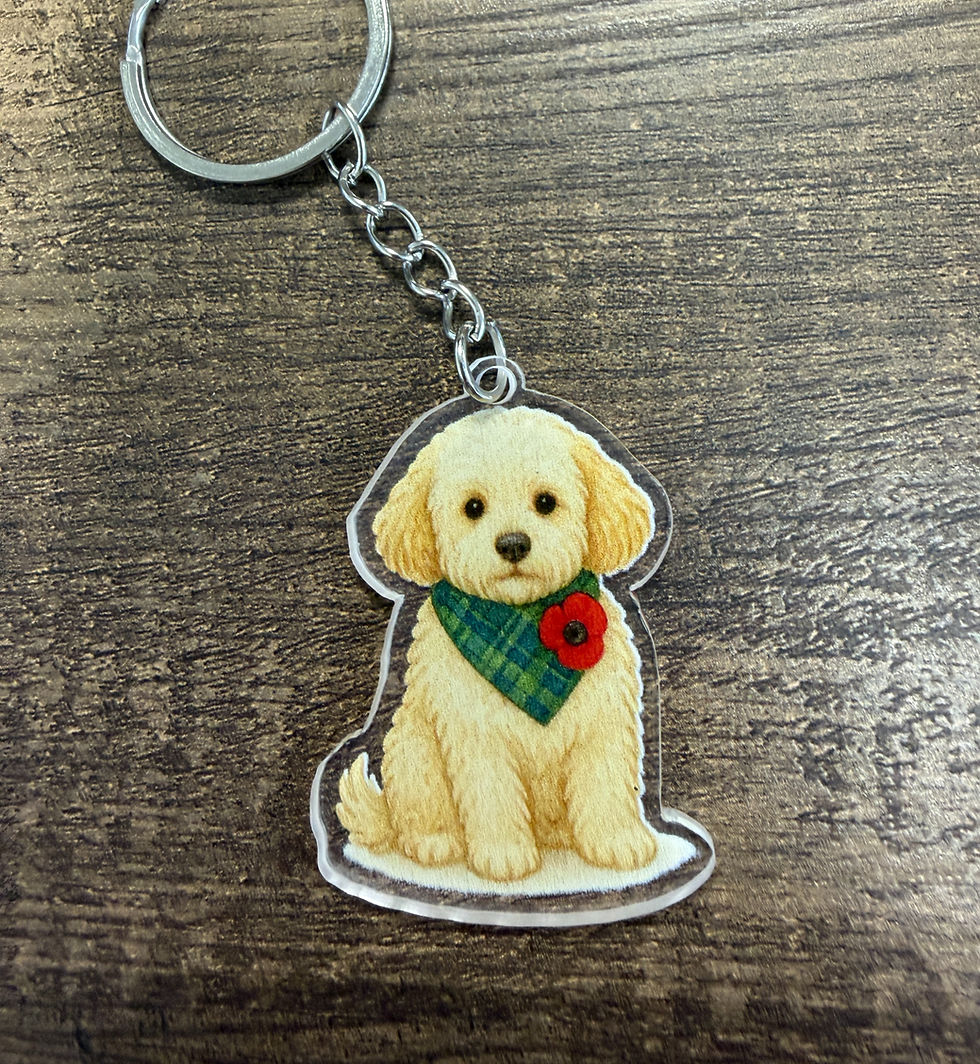 Support the Poppy Appeal by Buying Poppy Zola Keyrings for Charity