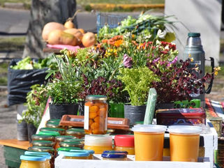 TRENQUE LAUQUEN: ESTE SÁBADO HABRÁ FERIA ECOFINES EN EL PLAYÓN DE LA ESTACIÓN