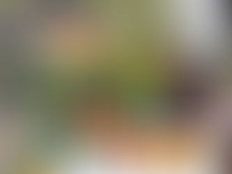 TRENQUE LAUQUEN: ESTE SÁBADO HABRÁ FERIA ECOFINES EN EL PLAYÓN DE LA ESTACIÓN