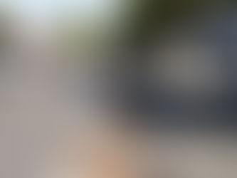 DESTRUCCIÓN DE CAÑOS DE ESCAPE EN DAIREAUX