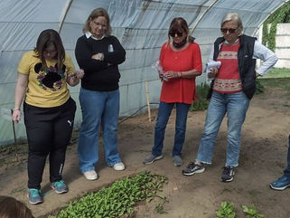 PELLEGRINI: CURSO DE HUERTA Y JARDÍN AGROECOLÓGICO