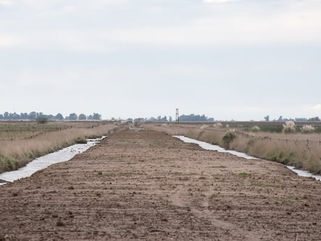 PEHUAJÓ: NUEVO CAMINO ALTERNATIVO PARA EL TRÁNISTO PESADO