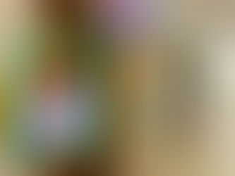 PEHUAJÓ: EL TALLER DE ARTILUGIA PRESENTA SU MUESTRA ANUAL EN EL CINE ZURRO