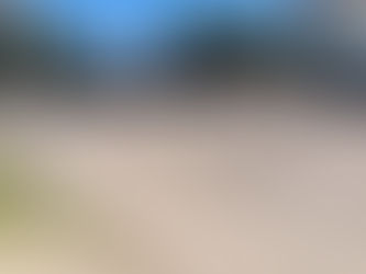 PEHUAJÓ: REACONDICIONAMIENTO DE SENDAS PEATONALES