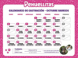 PROGRAMA PEHUELLITAS: HABILITADA LA TURNERA DEL MES DE OCTUBRE PARA LOS BARRIOS DE PEHUAJÓ