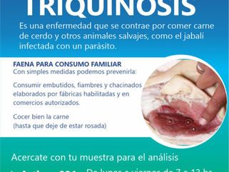PEHUAJÓ: NUEVO CASO DE TRIQUINOSIS DETECTADO EN LA ZONA