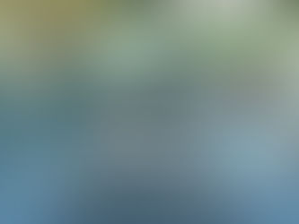 PELLEGRINI: EXIMICIÓN DE LA TASA DE SEGURIDAD E HIGIENE