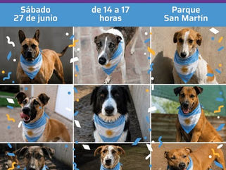 PEHUAJÓ: JORNADA DE ADOPCIÓN DE PERROS EN EL PARQUE SAN MARTÍN