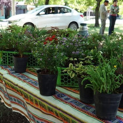 HABRÁ FERIA ECOFINES ESTE SÁBADO EN LA PLAZOLETA ALMIRANTE BROWN