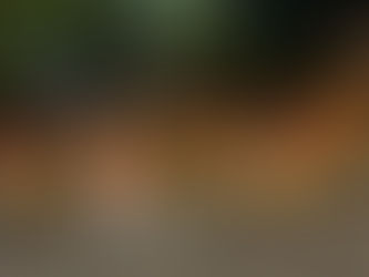 LOS CARNAVALES DE GUAMINÍ 2024 TUVIERON SU ÚLTIMA NOCHE, Y LA GANADORA DEL AUTO 0KM ES DE SALAZAR