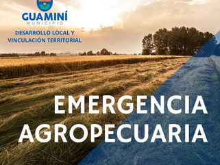 EMERGENCIA AGROPECUARIA 2024: SE ABRE UN NUEVO LISTADO PARA PRODUCTORES Y PRODUCTORAS DEL DISTRITO DE GUAMINÍ