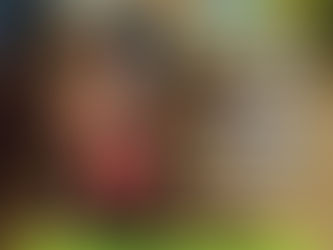 PELLEGRINI: NO HABRÁ RECOLECCIÓN DE RESIDUOS EL MIÉRCOLES 8